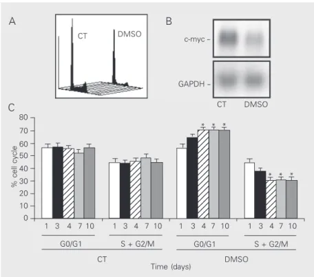 Figure 1. Dimethyl sulfoxide (DMSO, 2.5%, v/v) inhibits LISP-1 proliferation. A, DNA quantification in control cells (CT) and in cells exposed to DMSO for 10 days