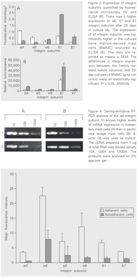 Figure 3. Expression of integrin subunits quantified by  fluores-cence microscopy (A) and ELISA (B)