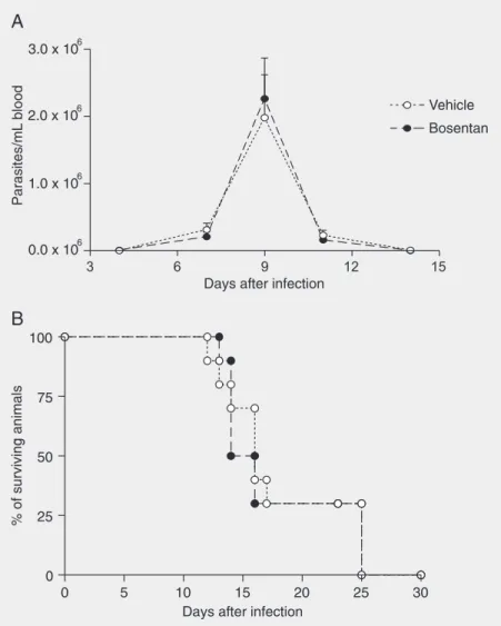 Figure 1. Effect of treatment per os with bosentan on parasitemia (A) and survival (B) curves of Trypanosoma cruzi-infected mice