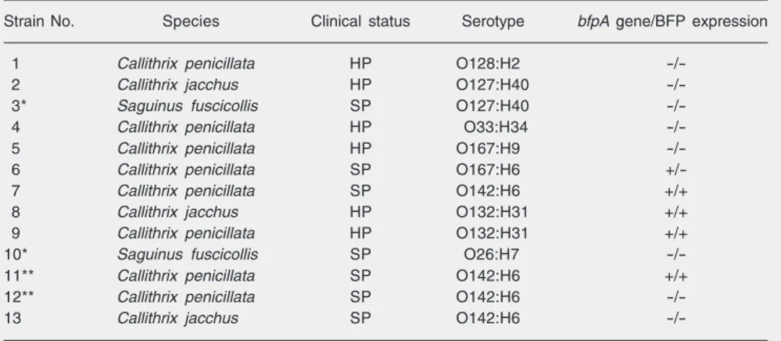 Table 1. Non-human primate EPEC strains isolated in the present study in Brazil.