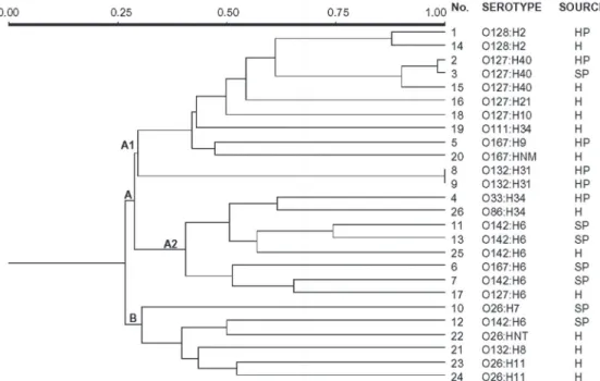 Figure 1. Dendrogram based on UPGMA cluster analysis of Dice coefficients. Clusters are  indi-cated by the letters A, A1, A2 and B
