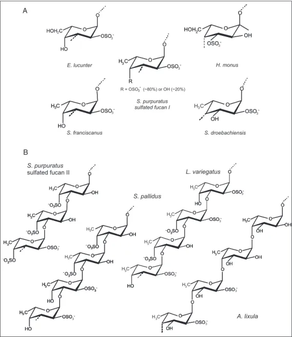 Figure 2. Structures of sulfated polysaccharides from marine  in-vertebrates. The figure shows 9 fully characterized structures of sulfated polysaccharides from the egg jelly of sea urchins and the tunic of ascidians