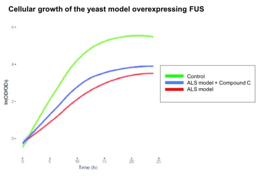 Figure 1.6: Compound C protects the yeast model of ALS from FUS toxicity. FUS over- over-expression impairs cellular growth (red) compared with the control (green) and treatment with Compound C rescues cellular growth (blue) [Unpublished results].