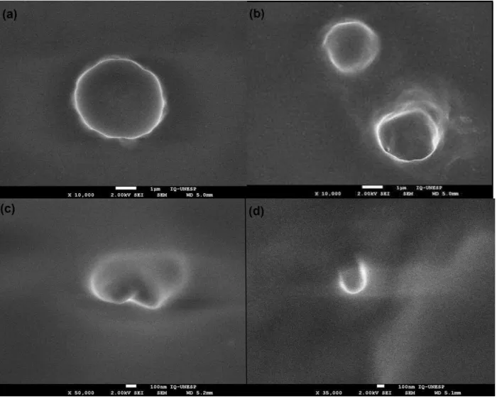 Figura 3. Fotomicrografias das nanopartículas por microscopia eletrônica de varredura com emissão de campo  (MEV-FEG)