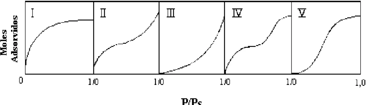 Figura 2: Isotermas de adsorção modelo BET  onde: 