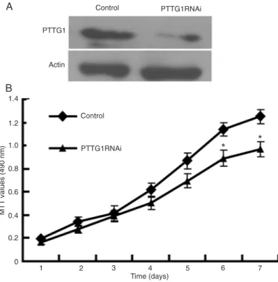 Figure  1.  Pituitary  tumor-transforming  gene-1  (PTTG1)  knockdown  reduced  PC3 proliferation