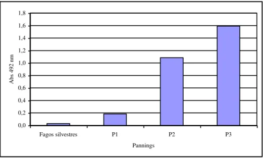 Fig. 3 - Reatividade dos fagos após Pannings 1, 2 e 3. A placa foi sensibilizada com  10µg/mL do pool de Ig purificada anti L