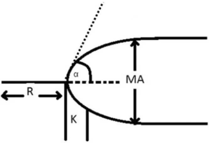 Figure 1. Definition of the thromboelastography (TEG ® ) param- param-eters. R = time of latency from the time that the blood was placed  in the TEG ®  analyzer until the initial formation of fibrin; α = value  that measures the rapidity of fibrin build-up