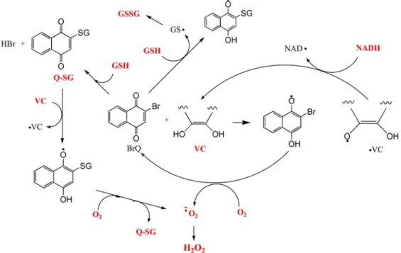 Figure 8. Oxidation of NADH during the redox cycling reaction.  A,C, Oxida- Oxida-tion of ascorbic acid monitored by its absorbance at 270 nm