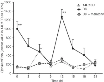 Figure  2.  Relative  Clock  expression  under  a  14-h  light:10-h  dark (14L:10D) regime, constant darkness (DD) or DD plus 1.0  nM melatonin