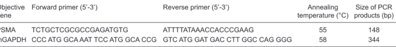 Table 1. Primers and conditions for PCR.