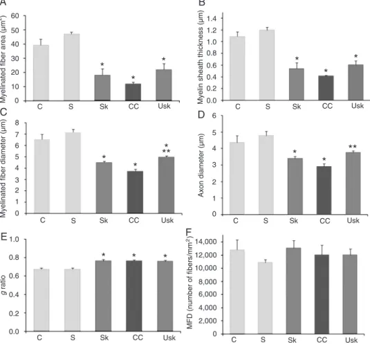 Figure  6.  Effects  of  treatment  on  the  morphometric  parameters  of  regenerating  ulnar  nerve  fibers