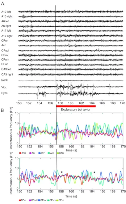 Figure  2.  Striatal  signals  converge  to  theta  frequencies  during  exploratory  behavior