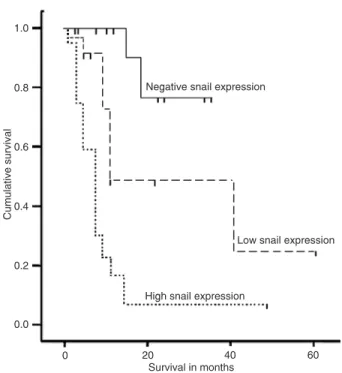 Figure  3.  Kaplan-Meier  estimated  survival  rates  according  to  snail expression