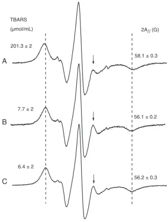Figure 6. Electron magnetic resonance parameter, 2A // , of 5-doxyl  stearic  acid  in  erythrocyte  membranes  (circles)  and  oxidative  hemolytic level (squares) plotted against H 2 O 2  concentration for  samples with no inhibition of catalase present 