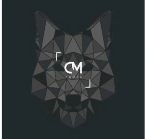Figura 1- Logótipo da MD Group 
