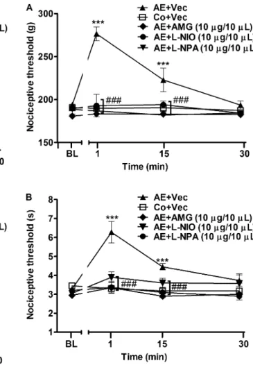 Figure 1. Effect of intrathecal administration of nitric oxide/
