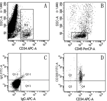 Figure 2. Kinetics of circulating endothelial progenitor cells (cEPCs) in the ﬁ rst cycle of chemotherapy
