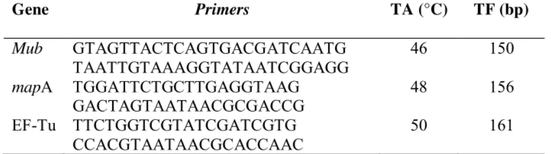 Tabela 2. Primers, temperatura de anelamento e tamanho dos fragmentos  relacionados com adesão à mucosa do intestino