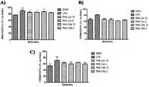 Figura 7: Expressão dos marcadores de maturação MHCII, CD80 e CD86 nas CDs após estimulação com RNA total de hifa ou levedura do fungo S