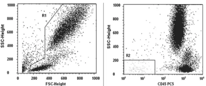 Figure 1. Left, Forward side scatter (FSC) vs side scatter (SSC) cytogram in dot plots showing region 1 (R1) gating mononuclear cells and excluding debris and (right) CD45 –/dim vs SSC.