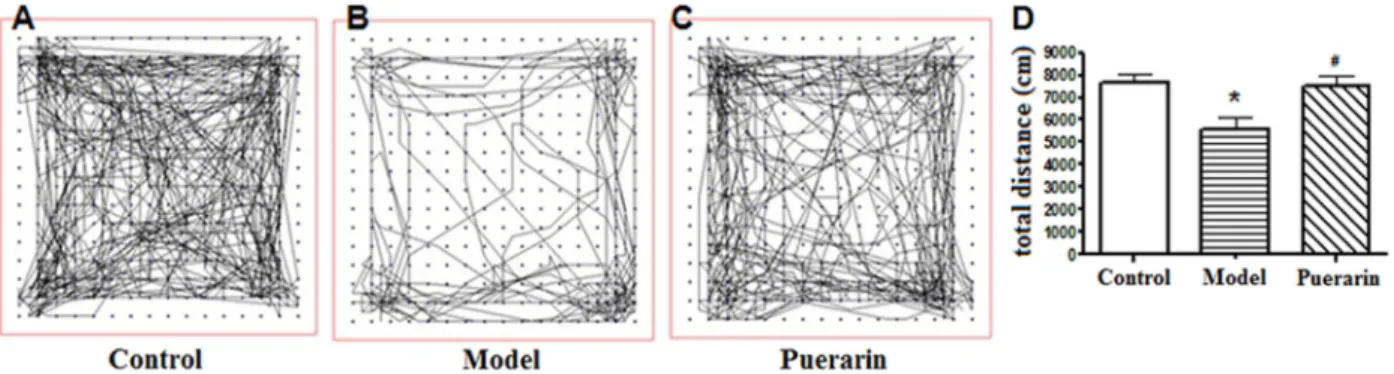 Figure 1. Results of the 30 min Tru Scan test. A-C, Spontaneous movement routes of mice in the control, model, and puerarin groups.