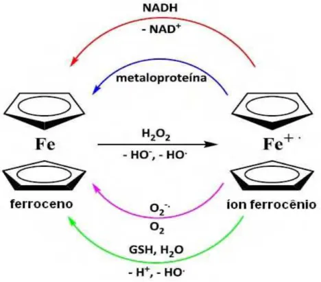 Figura 2. Processos de óxido-redução envolvendo o ferroceno no meio biológico  (NADH: nicotinamida adenina dinucleotídeo; GSH: glutationa)