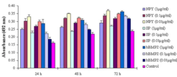 Figure 3. Cell viability of the effect of neuropeptides in combination with human bone morphogenetic protein 2 (hBMP2)