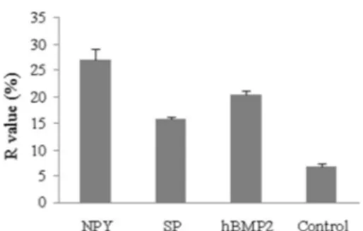 Figure 7. Fluorescence recovery of cells. The graph displays the ratio of fluorescence recovery (R) of cells exposed to  neuropep-tide Y (NPY), substance P (SP) and human bone morphogenetic protein 2 (hBMP2) at the concentration of 0.1 mg/mL