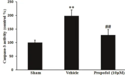 Figure 4. Effect of propofol on burn serum-induced second mitochondrial-derived activator of caspases (smac) release.