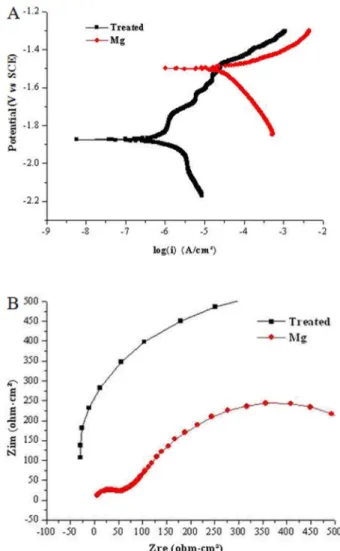 Figure 5A shows the pH variation of immersion tests; the pH rose rapidly (from 7.4 to 8.7) in the first 24 h and basically stabilized after 72 h