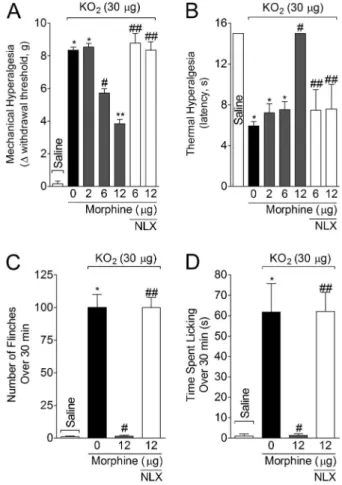 Figure 5. Morphine inhibited KO 2 -induced hyperalgesia and overt pain-like behavior in a naloxone-sensitive manner