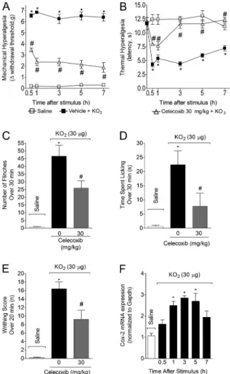 Figure 10. KO 2 induced COX-2-dependent nociception. Mice were treated with celecoxib (30 mg/kg, ip) or vehicle (saline) 1 h before ipl (30 mg, 25 mL) or ip (1 mg/mice) injection of KO 2 
