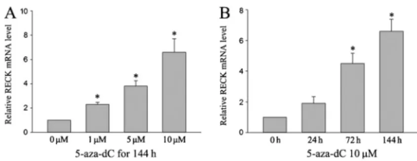 Figure 4. Western blotting results of RECK in ACC-M cells with DMSO or 1, 5, 10 mM  5-aza-2 9 deoxycytidine (5-aza-dC) treatment for 144 h and treated for 24, 72, and 144 h with 10 mM  5-aza-dC