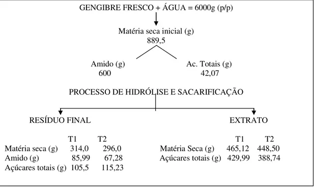 Figura 3  - Balanço de massa do processo de hidrólise-sacarificação do rizoma de gengibre nos diferentes  tratamentos