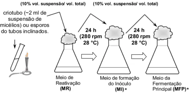 Figura 7 - Esquema geral do procedimento experimental utilizado em todos os cultivos de S