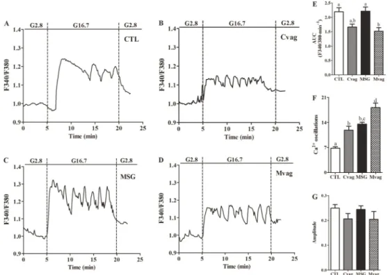 Figure 4. Representative curves of glucose-induced cytoplasmic Ca 2+ + oscillations in islets isolated from 90-day-old CTL (A), Cvag (B), MSG (C) and Mvag (D) rats
