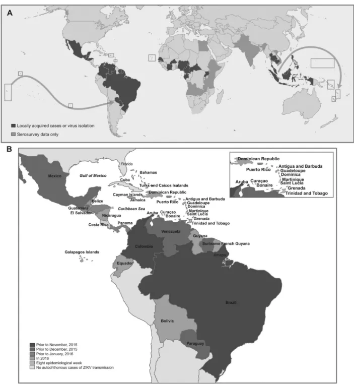 Figure 1. World epidemiology of ZIKV infection. A, Global expansion of the Asian lineage