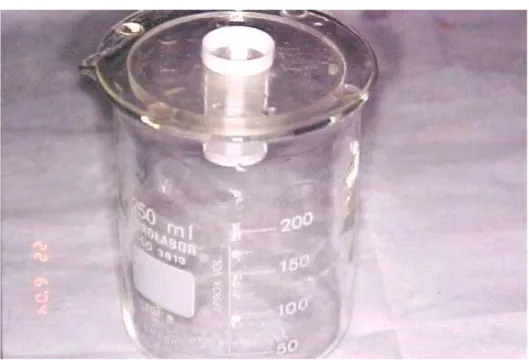 Figura 6: Dispositivo  elaborado  para  lavagem do enxerto ósseo após permanência na  solução de tetraciclina.
