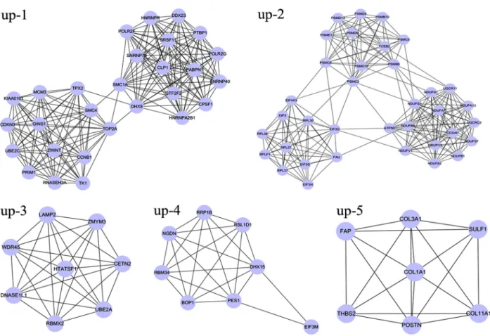 Figure 3. Modules of the protein-protein interaction network for upregulated differentially expressed genes.