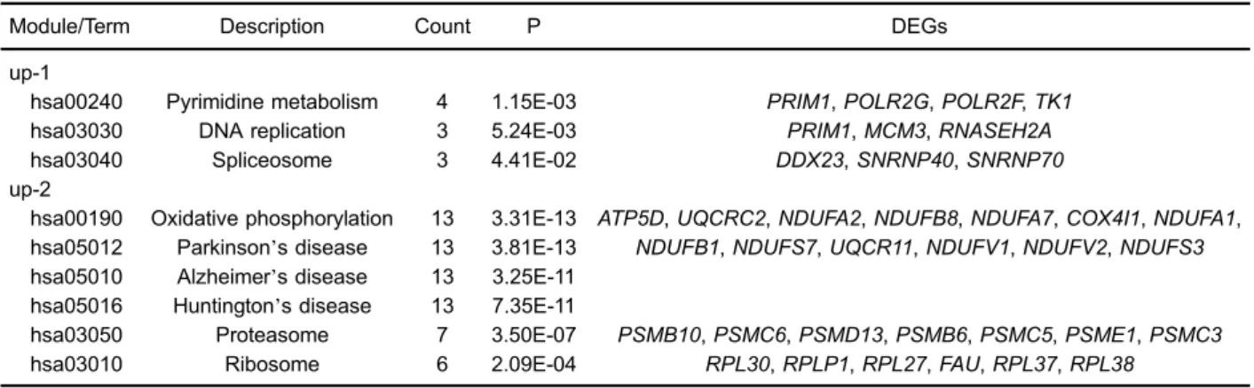 Table 3. Enriched KEGG pathways for genes in upregulated modules with a higher enrichment score.