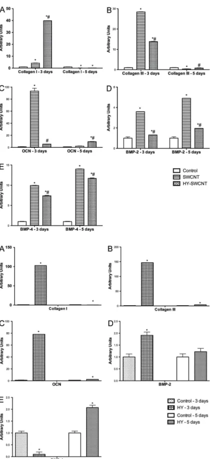 Figure 4. mRNA expression of bone repair factors. Type I collagen (A), type III collagen (B), osteocalcin (OCN) (C), bone morphogenetic protein-2 (BMP-2) (D), and BMP-4 (E) after treatment with single-walled carbon nanotubes (SWCNT) or sodium hyaluronate (
