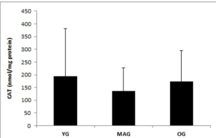 FigUre 4 | Total antioxidant capacity (Tac) of the three groups (Yg,  younger; Mag, aged; Og, older)