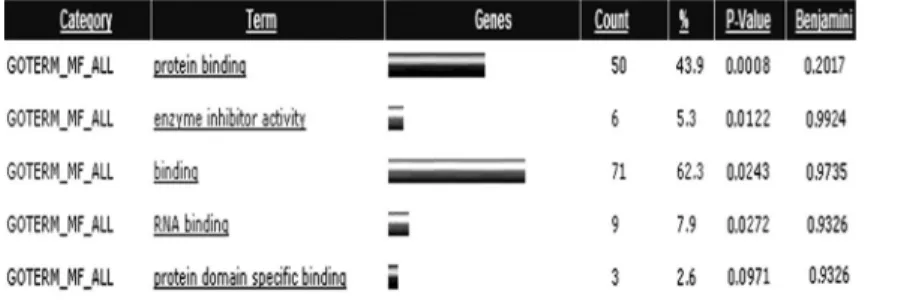 Table 1. Representative 20 genes of all 113 regulated by ropinirole.
