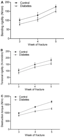 Figure 1. At each time point, the mean bending rigidity (A), mean torsional rigidity (B), and mean destruction torque (C) in the control group was greater compared to the diabetes group (P o 0.05, t-test)