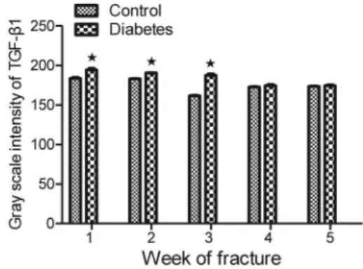 Figure 3. Gray scale intensity of transforming growth factor b1 (TGF-b1). The gray scale intensity value of TGF-b1 expression was higher in the diabetes group than in the control group at postoperative weeks 1, 2, and 3