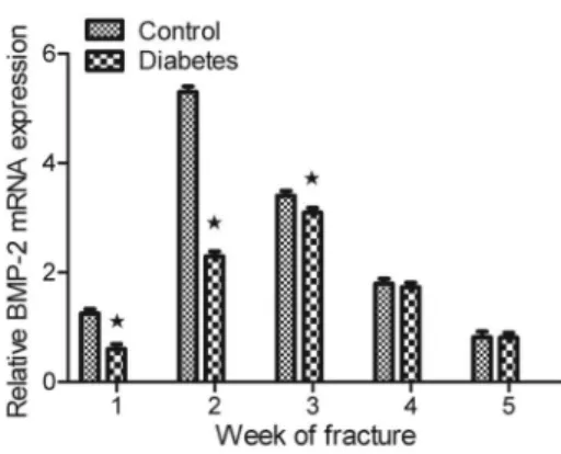 Figure 6. Fluorogenic quantitative polymerase chain reaction results of transforming growth factor b1 (TGF-b1) mRNA expression in the two groups