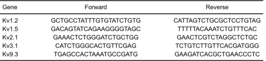 Table 1. Primers of Kv channels.
