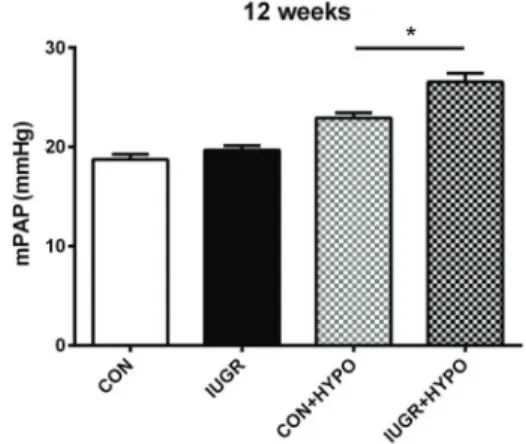 Figure 1). After 2 weeks of hypoxia, the mPAP of IUGR- IUGR-hypoxia rats increased to 26.6 ± 2.49 mmHg, while that of control-hypoxia rats increased to 22.9 ± 1.52 mmHg (P o 0.05, Figure 1).