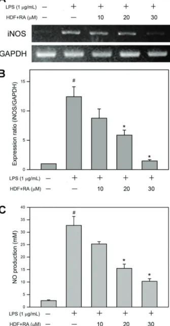 Figure 3. Hemodialysis ﬂ uid (HDF) supplemented with rosmarinic acid (RA) suppressed mRNA expression of inducible nitric oxide synthase (iNOS) and nitric oxide (NO) production by  lipopoly-saccharides (LPS)-stimulated human umbilical vein endothelial cells